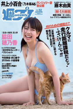 他和她的猫